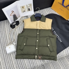 Louis Vuitton Down Jackets